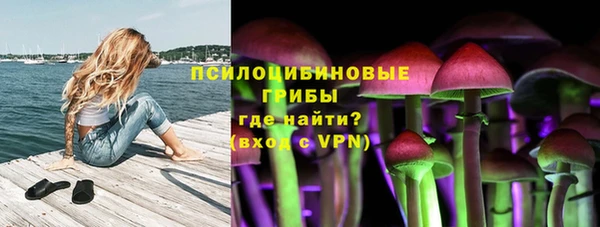 экстази Каменногорск