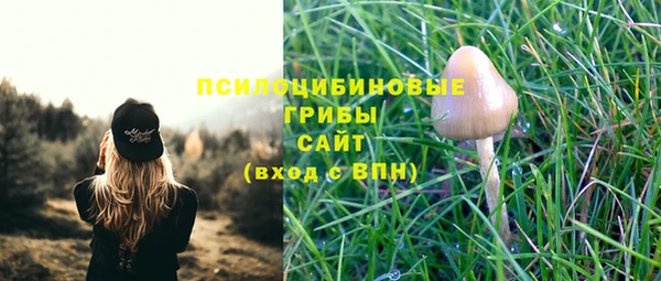 экстази Каменногорск