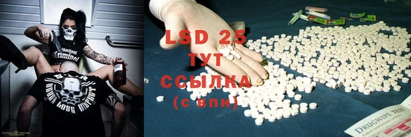 ECSTASY Каменка