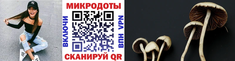 Галлюциногенные грибы Magic Shrooms  Купить закладки  Кадников 